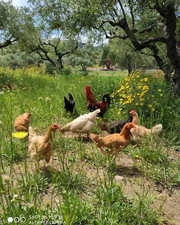 Lithies Organic Farm Semesterbostad Vasilikí